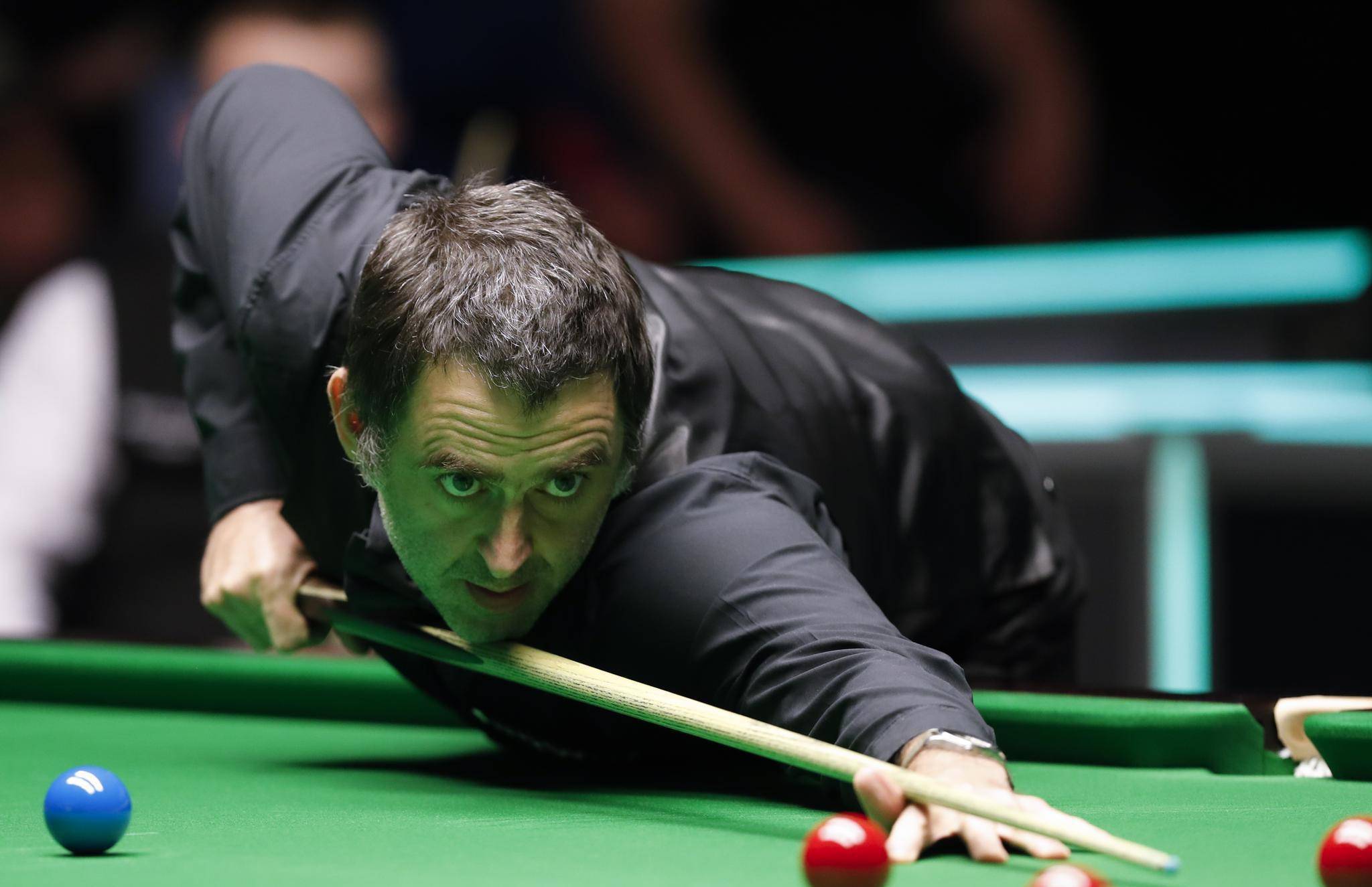 在今年的澳 在今年的澳