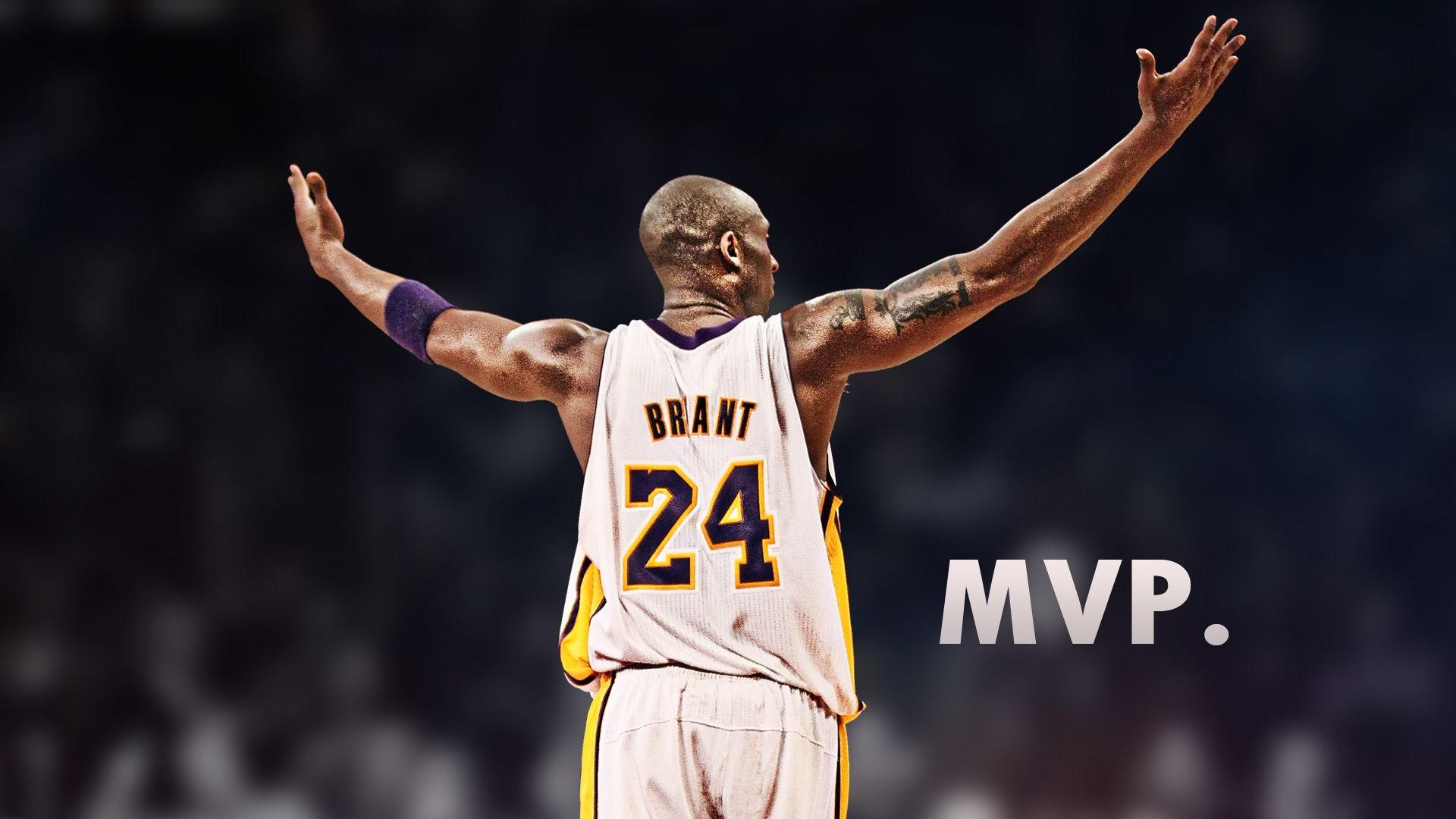 他在导航掩 他在导航掩